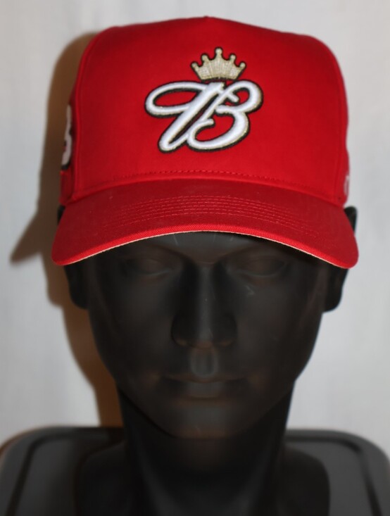 ‘47 Brand Other - Earnhardt Jr. #8 Budweiser NASCAR Hat